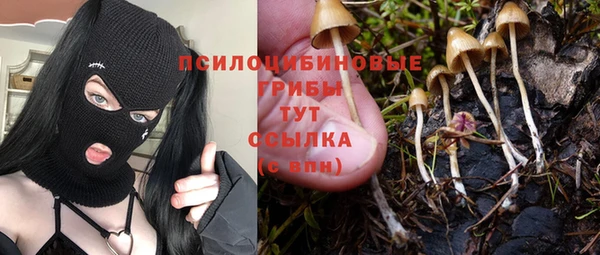 бошки Костерёво